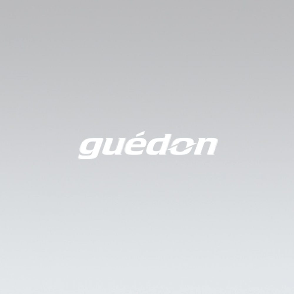 guédon pneumatik & autoamtion - Ihr kompetenter Partner für hochwertige Vakuumtechnki seit mehr als 35 Jahren!